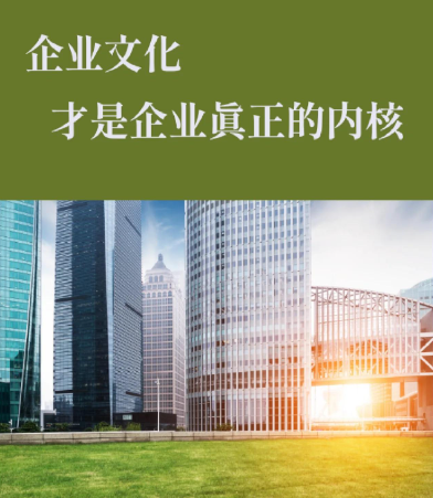 四川弘岭新技术服务有限公司技术运维服务常见问题与处理思路
